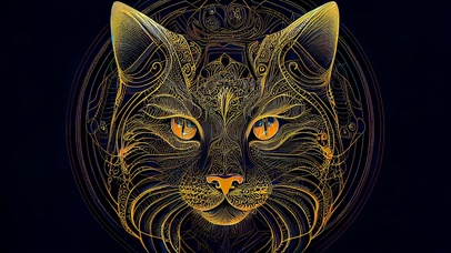 星空猫咪 4K