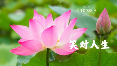 4k治愈风景桌面