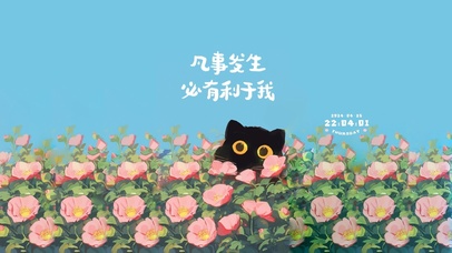 花丛中的猫咪 治愈文字