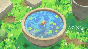 4K夏日水池