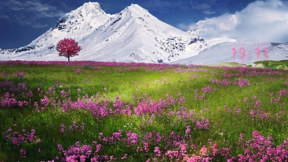 雪山下粉色花海