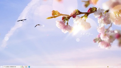 阳光下的樱花树