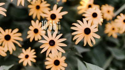 4k简约治愈小雏菊