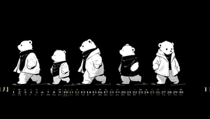 黑与白-熊先生