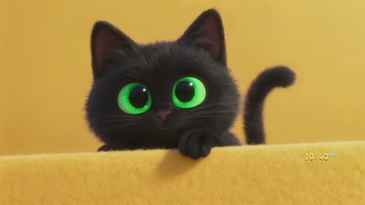 可爱调皮互动小黑猫