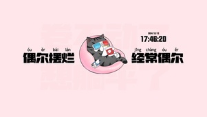 吾皇猫日常