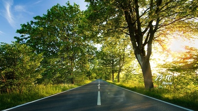 治愈清新绿林道路