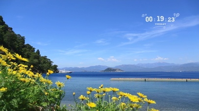 夏天海风花香的味道