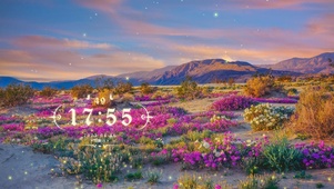 4k夕阳下的花园