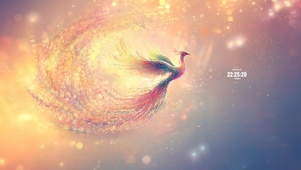 凤翔九天 好运