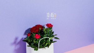 4K高清简约壁纸