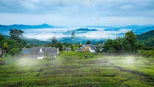 春雨小山村