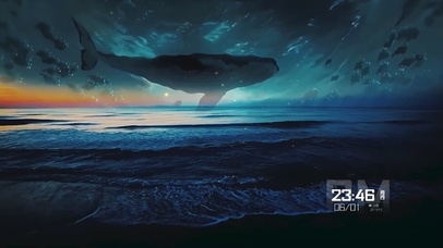 大海鲸鱼壁纸①