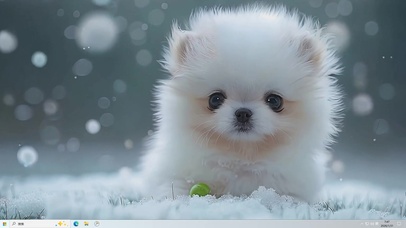 雪天萌宠小狗桌面主题