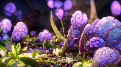 唯美治愈护眼花丛