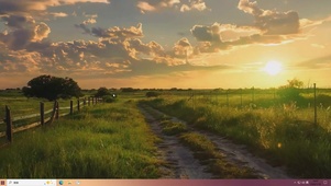 夕阳树木景色主题