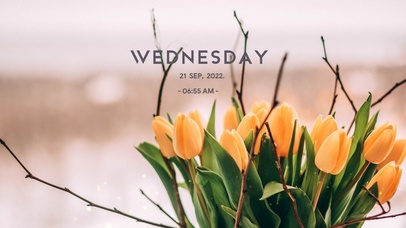 4k高清简约清新系列