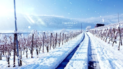 治愈唯美冬季雪路