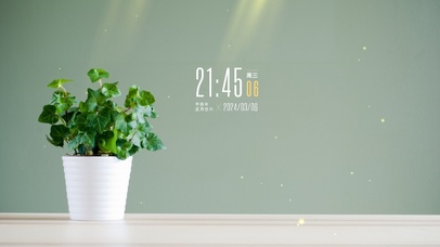 4k清新绿植简约桌面