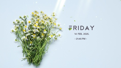 小清新简约电脑壁纸