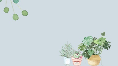 Ins风植物 含时间 风景壁纸图片 动态桌面壁纸图片 动态壁纸下载 元气壁纸
