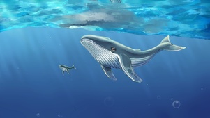 两条在大海里游泳的鲸鱼