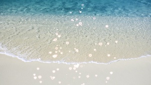 沙滩海边