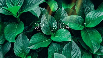 高级4k清新绿壁纸