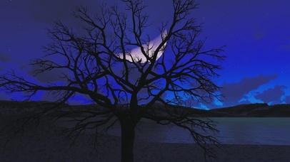 唯美月色静谧美景