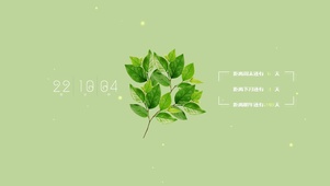 4k极简绿色清新桌面