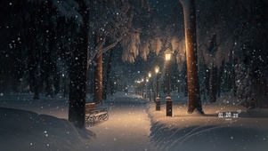 飘雪公园夜