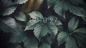 高清4k风景植物壁纸