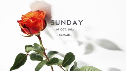 4k高清简约ins风格系列