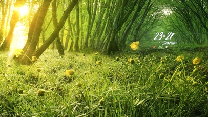 治愈夏日森林花丛