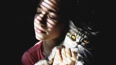 4K 夜晚光照进的女孩和猫