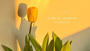 高级ins风格郁金香桌面