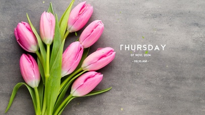 简约清新花草植物壁纸