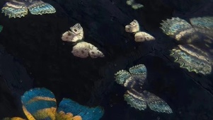 蝴蝶海  壁纸