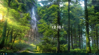 阳光茂密森林流水鸟鸣主题