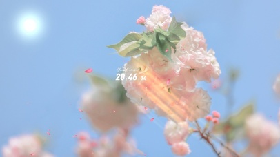 4K唯美治愈简约阳光下の樱花