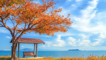 秋天海边的站台座椅