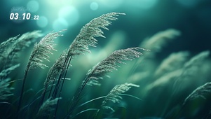 风吹草丛