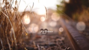 狗尾巴草（4K带时间音频互动）
