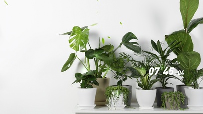 极简4k清新ins风格壁纸