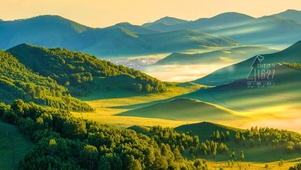 4K唯美清晨阳光护眼山间绿地
