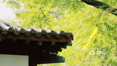 4K唯美绿叶屋檐