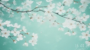 4K清新梨花壁纸