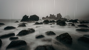 海