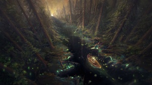 穿越魔法雨林