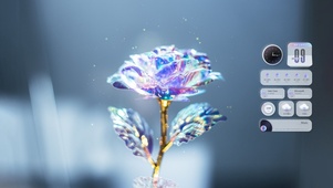 唯美玫瑰花